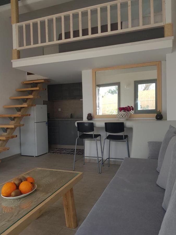 Empyreal Blue Apartments Mykonos Town 外观 照片